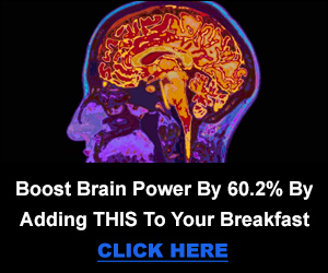 Neuro-Thrive Brain Support